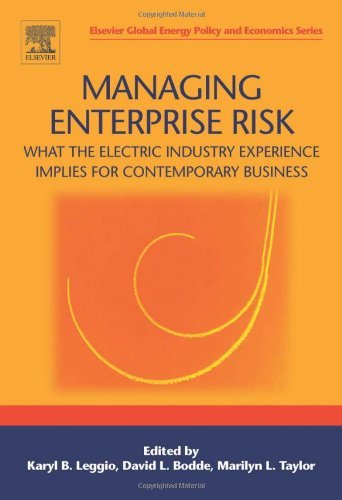 Book Managing Enterprise Risk: What the Electric Industry Experience Implies for Contemporary Business (ISSN) free
