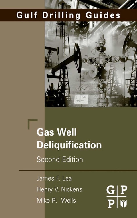 Book Gas Well Deliquification (Gulf Drilling Guides) free