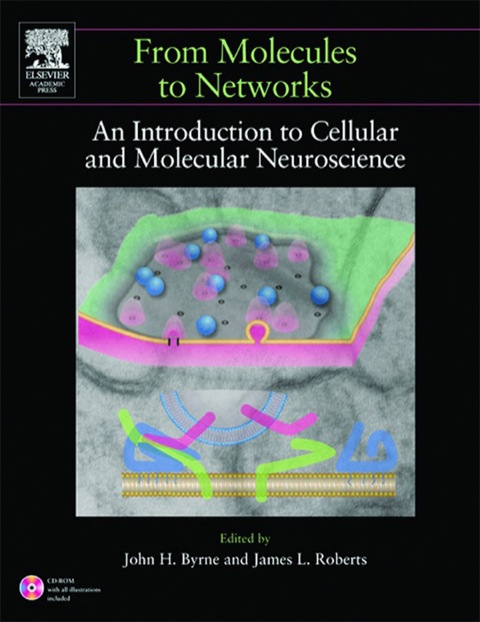 Book From Molecules to Networks free