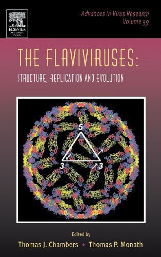 Book The Flaviviruses: Structure, Replication and Evolution (Advances in Virus Research Book 59) free