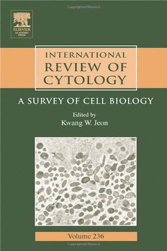 Book International Review of Cytology: A Survey of Cell Biology (ISSN Book 236) free