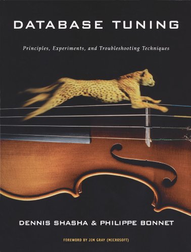 Book Database Tuning: Principles, Experiments, and Troubleshooting Techniques (The Morgan Kaufmann Series in Data Management Systems) free