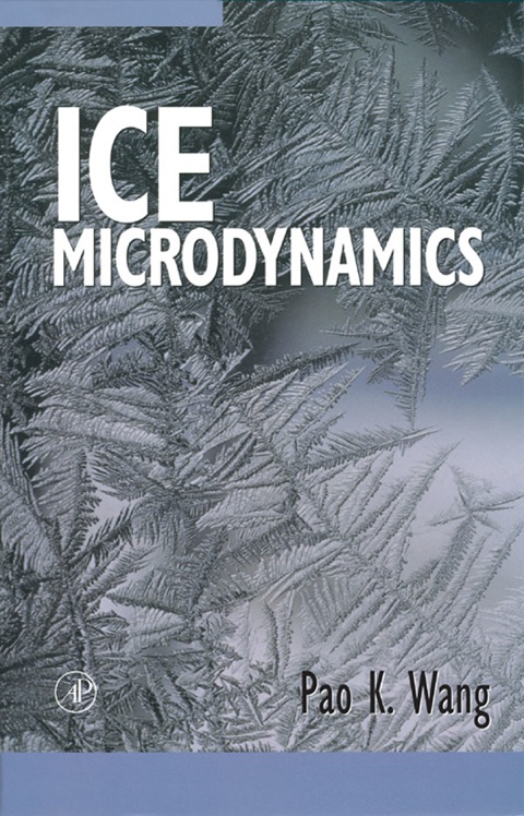 Book Ice Microdynamics free