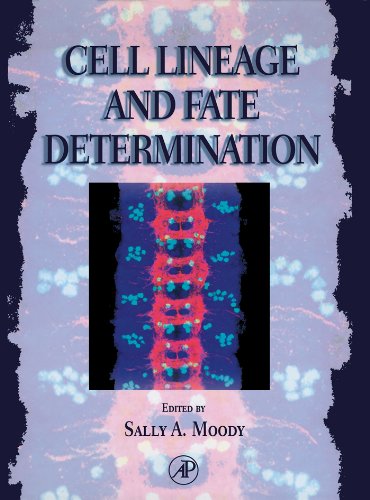 Book Cell Lineage and Fate Determination free