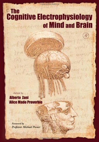 Book The Cognitive Electrophysiology of Mind and Brain free