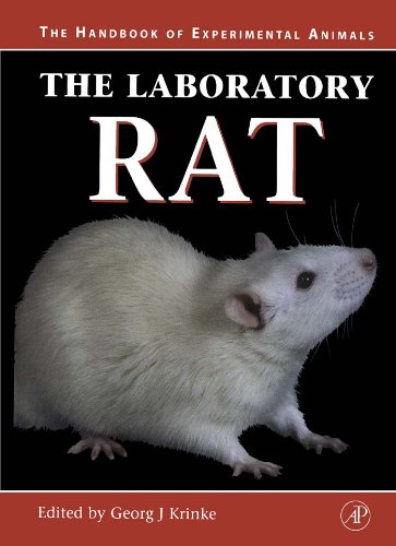 Book The Laboratory Rat (Handbook of Experimental Animals) free