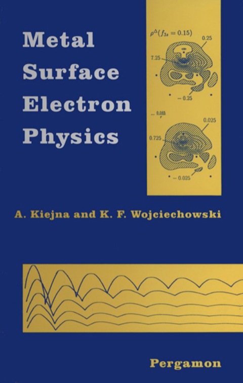 Book Metal Surface Electron Physics free