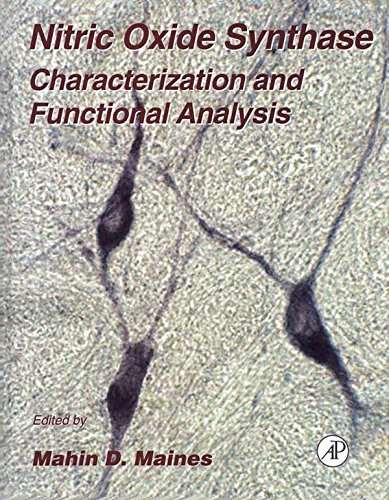 Book Nitric Oxide Synthase: Characterization and Functional Analysis (ISSN Book 31) free