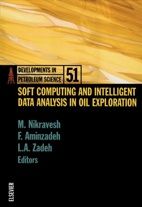 Book Soft Computing and Intelligent Data Analysis in Oil Exploration (ISSN Book 51) free