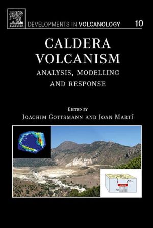 Book Caldera Volcanism free