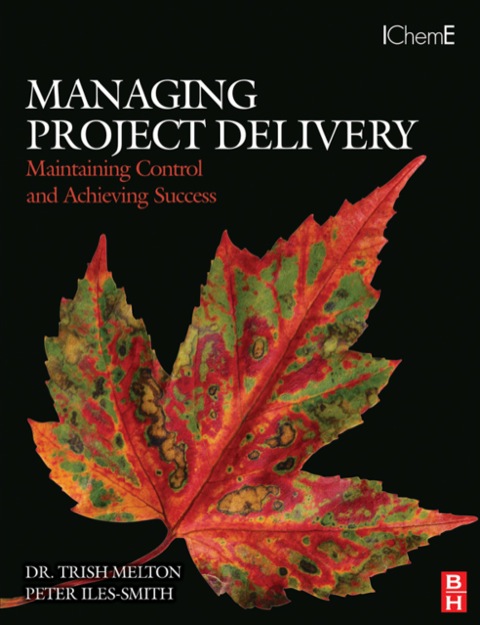 Book Managing Project Delivery: Maintaining Control and Achieving Success free