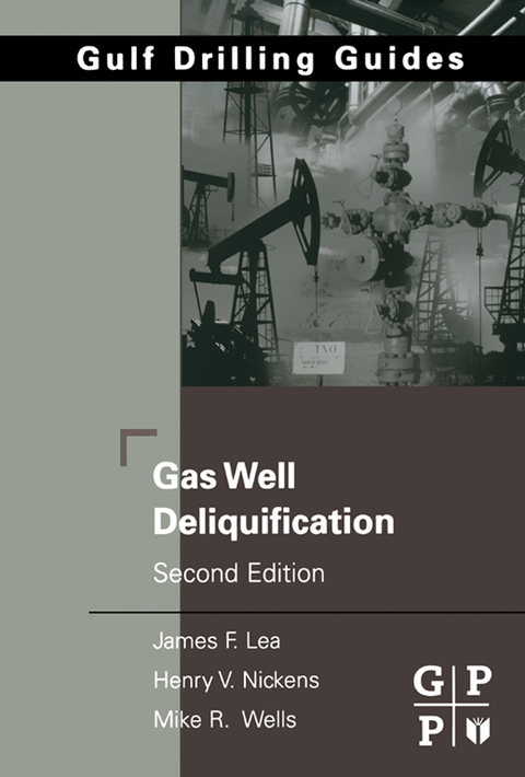 Book Gas Well Deliquification free