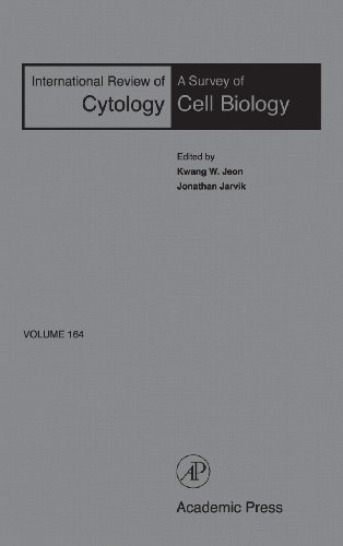 Book International Review of Cytology (ISSN Book 164) free