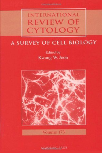 Book International Review of Cytology: A Survey of Cell Biology (ISSN Book 173) free