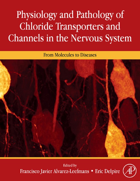 Book Physiology and Pathology of Chloride Transporters and Channels in the Nervous System free