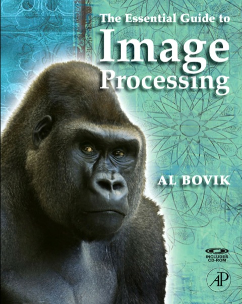 Book The Essential Guide to Image Processing free