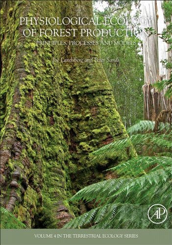 Book Physiological Ecology of Forest Production: Principles, Processes and Models (ISSN Book 4) free