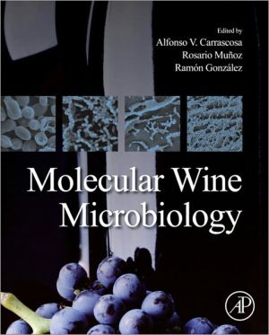 Book Molecular Wine Microbiology free