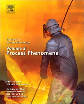 Book Treatise on Process Metallurgy, Volume 2: Process Phenomena free