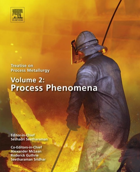 Book Treatise on Process Metallurgy, Volume 2: Process Phenomena free