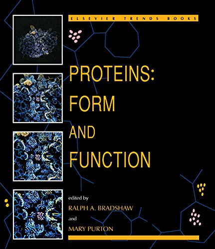 Book Proteins: Form and Function free