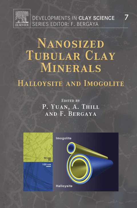 Book Nanosized Tubular Clay Minerals: Halloysite and Imogolite (ISSN Book 7) free