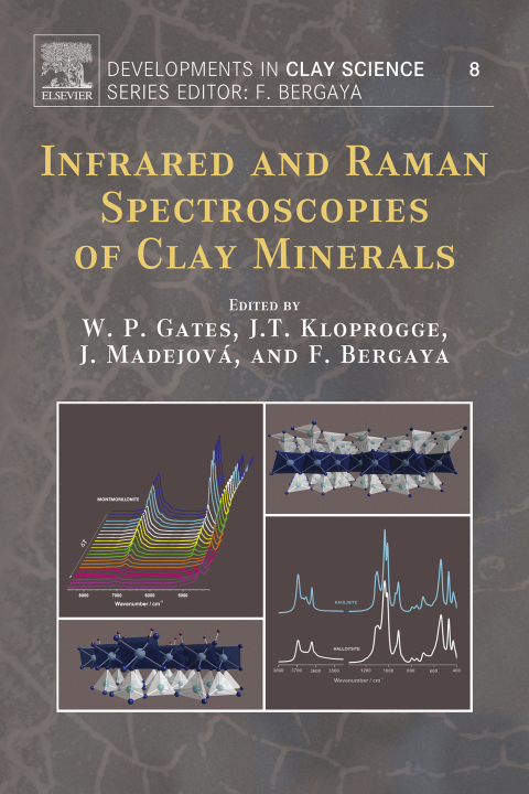 Book Infrared and Raman Spectroscopies of Clay Minerals (ISSN Book 8) free