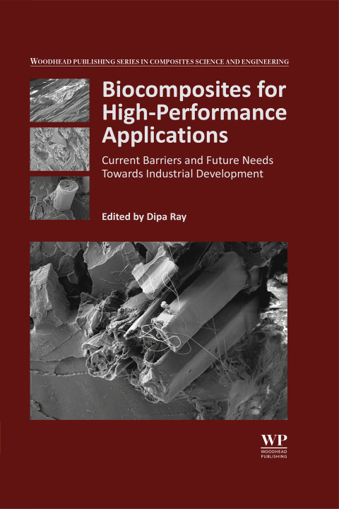Book Biocomposites for High-Performance Applications free