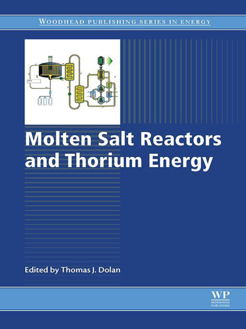 Book Molten Salt Reactors and Thorium Energy (Woodhead Publishing Series in Energy) free