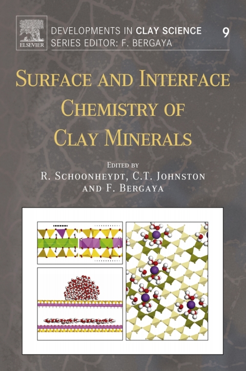 Book Surface and Interface Chemistry of Clay Minerals free