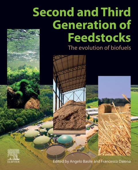 Book Second and Third Generation of Feedstocks free