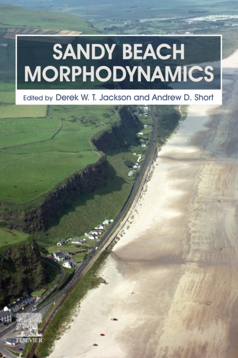 Book Sandy Beach Morphodynamics free