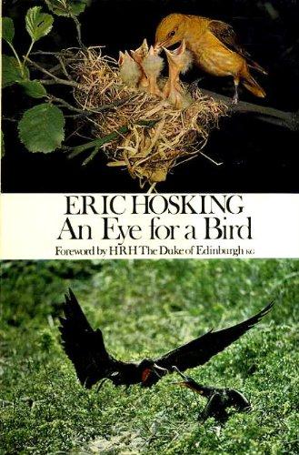 Book An eye for a bird: The autobiography of a bird photographer free