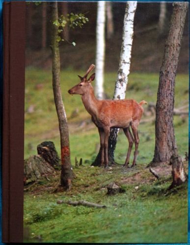 Book Wildlife in Britain: A guide to natural habitats, safari parks and zoos free