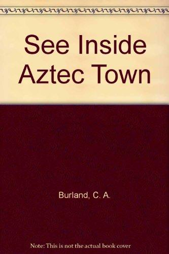 Book See Inside Aztec Town free