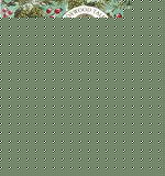 Book The Magic Sleigh (Foxwood Tales) free