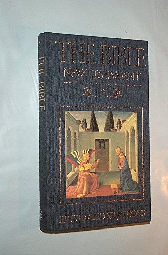 Book New Testament: Illustrated Selections free