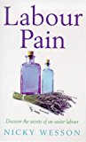 Book Coping with Labour Pain: A Comprehensive Guide to the Best Ways to Alleviate it free