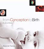 Book From Conception to Birth free
