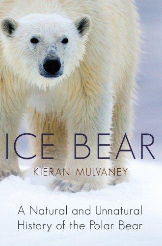 Book Ice Bear: A Natural and Unnatural History of the Polar Bear free