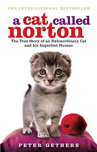 Book A Cat Called Norton: The True Story of an Extraordinary Cat and His Imperfect Human free