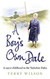 Book A Boy's Own Dale: A 1950s Childhood in the Yorkshire Dales free