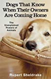 Book Dogs That Know When Their Owners Are Coming Home free