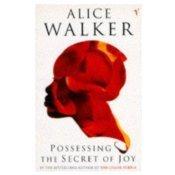 Book Possessing the Secret of Joy free