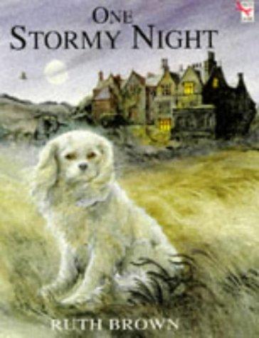 Book One Stormy Night (Red Fox Picture Books) free