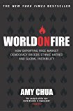 Book World on Fire: How Exporting Free Market Democracy Breeds Ethnic Hatred and Global Instability free