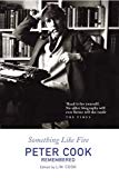 Book Something Like Fire free