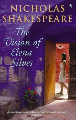 Book The Vision of Elena Silves free