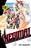 Book Negima Volume 12 (v. 12) free
