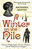 Book Winter on the Nile: Florence Nightingale, Gustave Flaubert and the Temptations of Egypt free